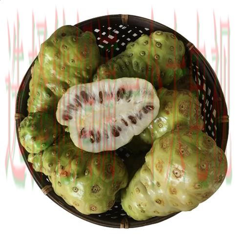 凯发体育网页版全新升级体验