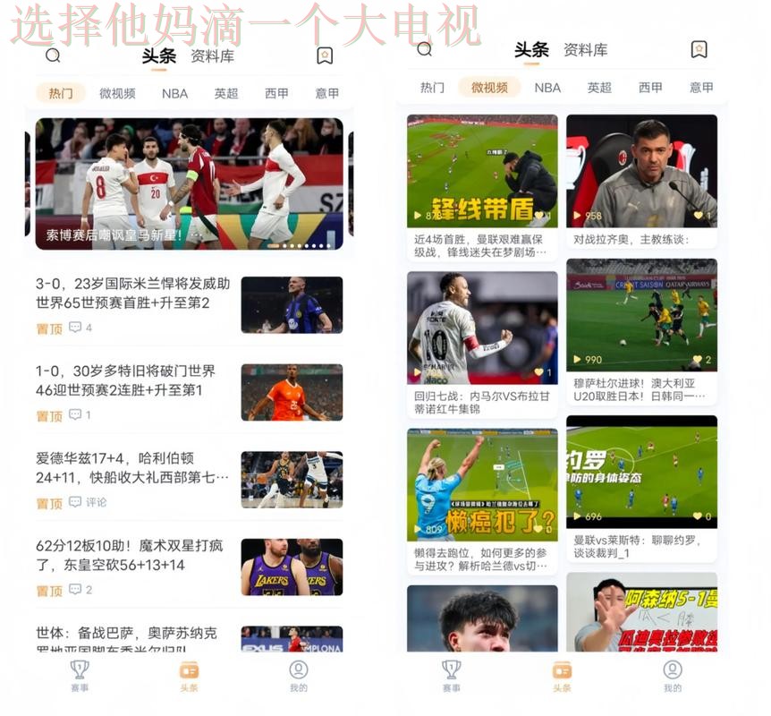 V体育正规版下载攻略与使用指南